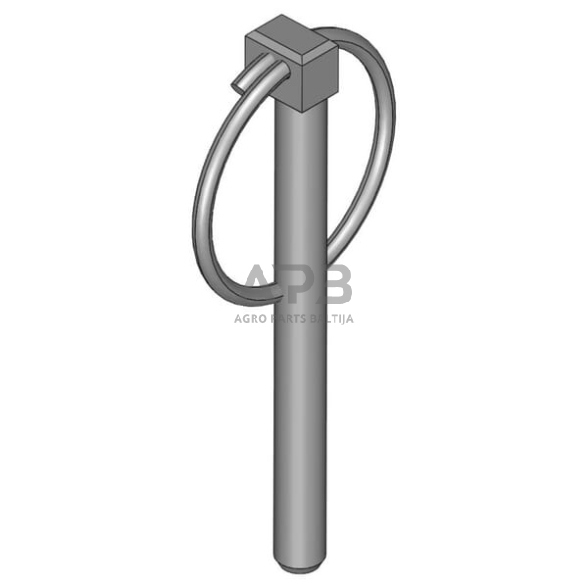 Dalis Scharmüller 104561501 Kaištis Scharmüller 1 Dalis Scharmüller 104561501 Kaištis Scharmüller 1