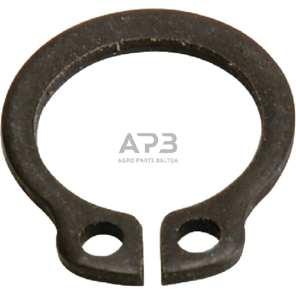 Dalis Scharmüller 20151169 Žiedas A10 Dalis Scharmüller 20151169 Žiedas A10