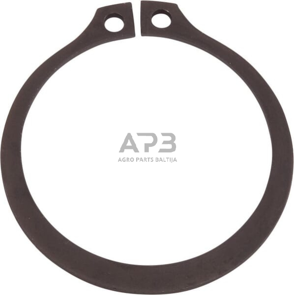 Dalis Case-IH technikai 234569 Žiedas