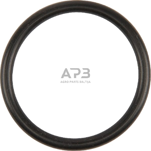 Dalis Case-IH technikai 717068R1 žiedas