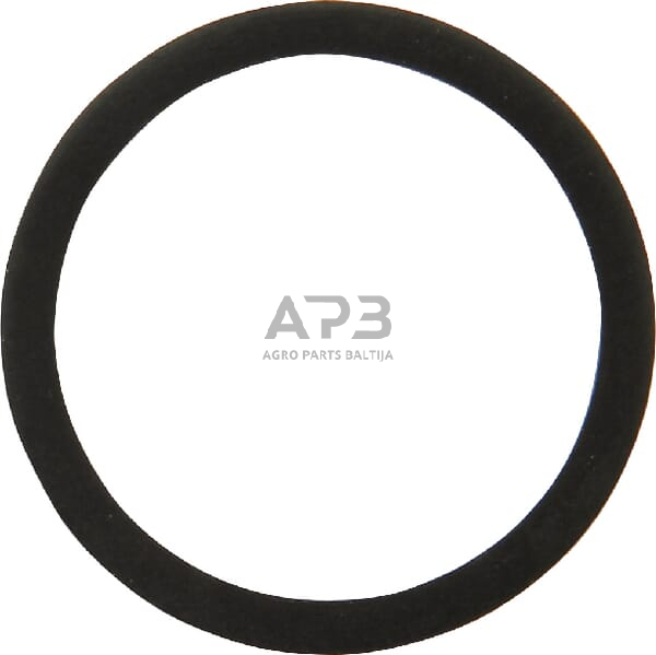 Dalis CNH 132773037 Atraminis žiedas Dalis CNH 132773037 Atraminis žiedas