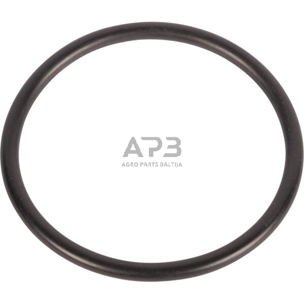 Dalis AGCO 195876M1 O žiedas