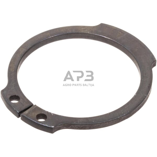 Dalis AGCO 390863X1 žiedas