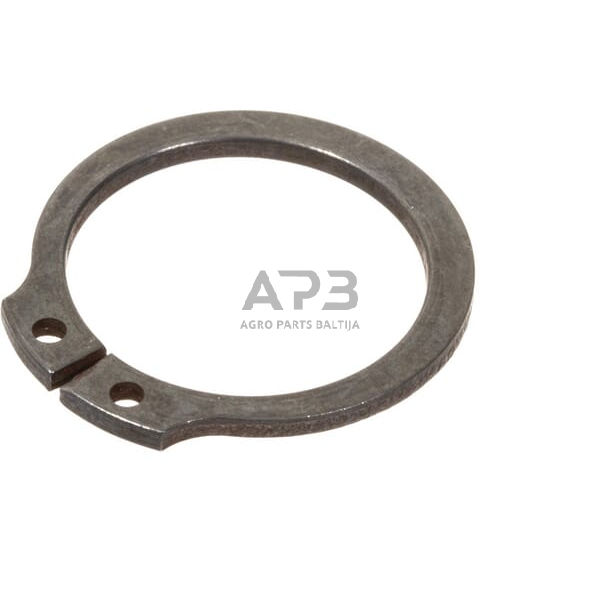 Dalis AGCO 395565X1 žiedas