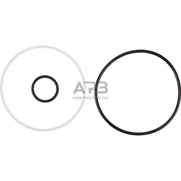 Dalis AGCO V31971900 Sandarinimo komplektas