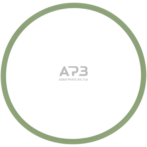 Dalis AGCO X548953115000 O žiedas 1