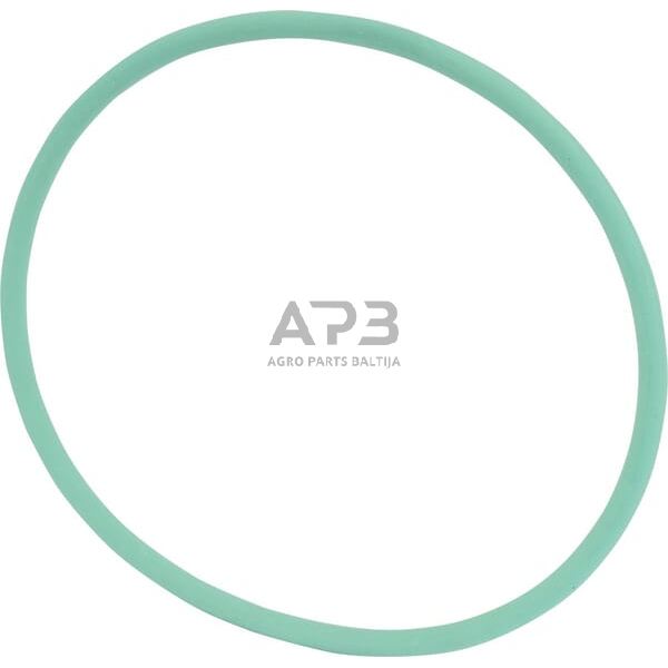Dalis AGCO X548974401000 O žiedas