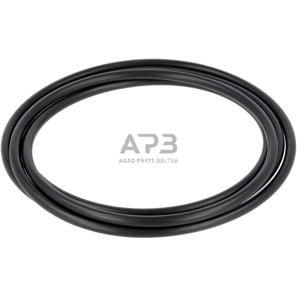 Dalis AGCO X549046900000 O žiedas 1