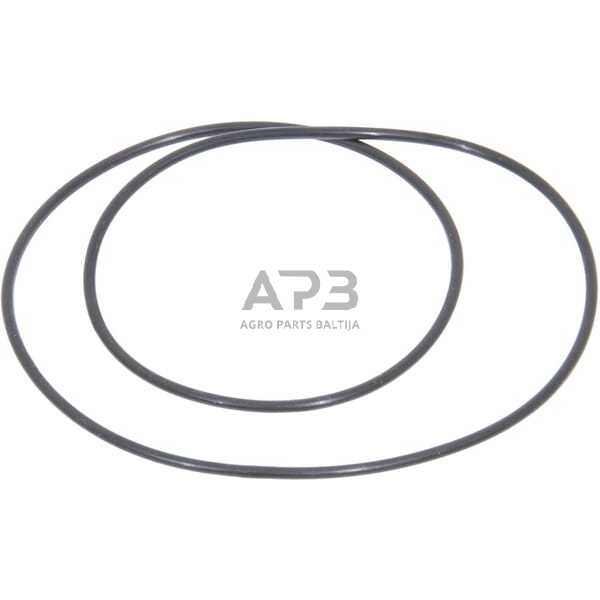 Dalis Carraro CI028556 O žiedas Dalis Carraro CI028556 O žiedas