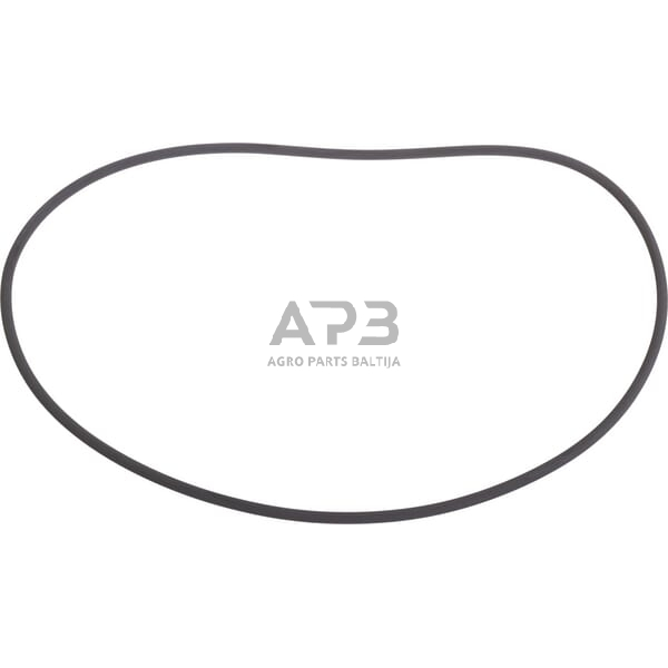 Dalis Carraro CI139231 O žiedas Dalis Carraro CI139231 O žiedas