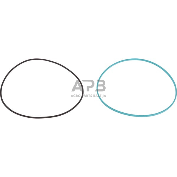 Dalis Carraro CI831991 Alyvos sandariklio komplektas Dalis Carraro CI831991 Alyvos sandariklio komplektas