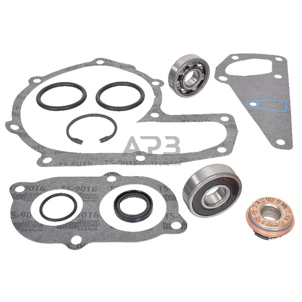 Dalis Case-IH technikai 162000060751 Vandens siurblio remonto komplektas CNH Dalis Case-IH technikai 162000060751 Vandens siurblio remonto komplektas CNH