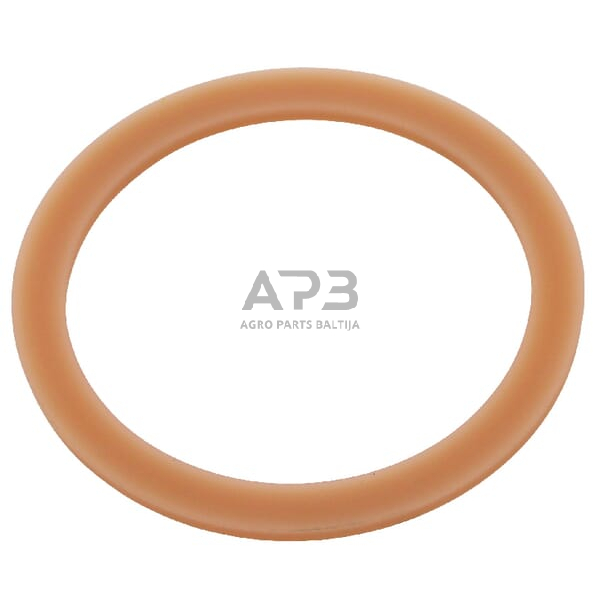 Dalis Case-IH technikai 3134943R1 žiedas 60x72x3 Case - IH
