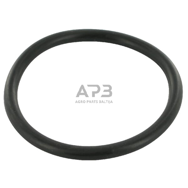 Dalis Case-IH technikai 3220176R1 O-ring Case IH