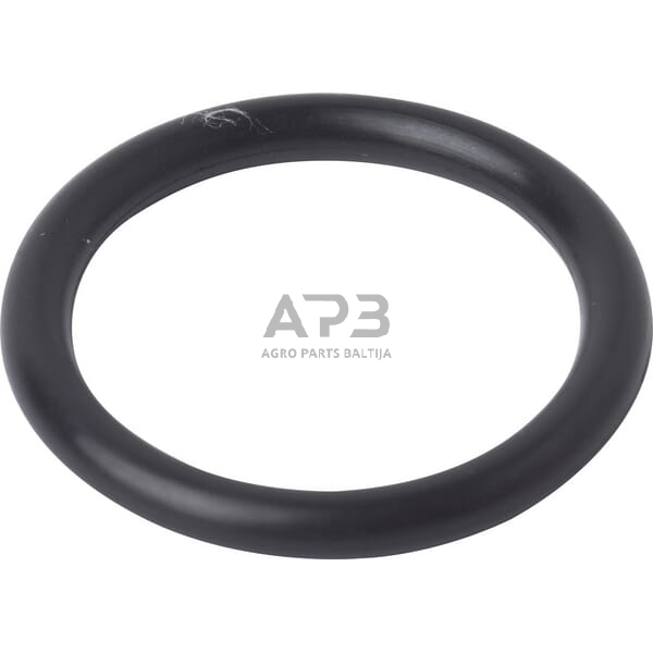 Dalis Case-IH technikai 86977728 Žiedas Dalis Case-IH technikai 86977728 Žiedas