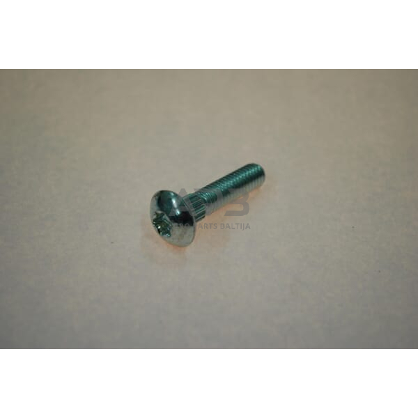 Dalis CNH 029014548 Dantytas varžtas M6x26 Dalis CNH 029014548 Dantytas varžtas M6x26