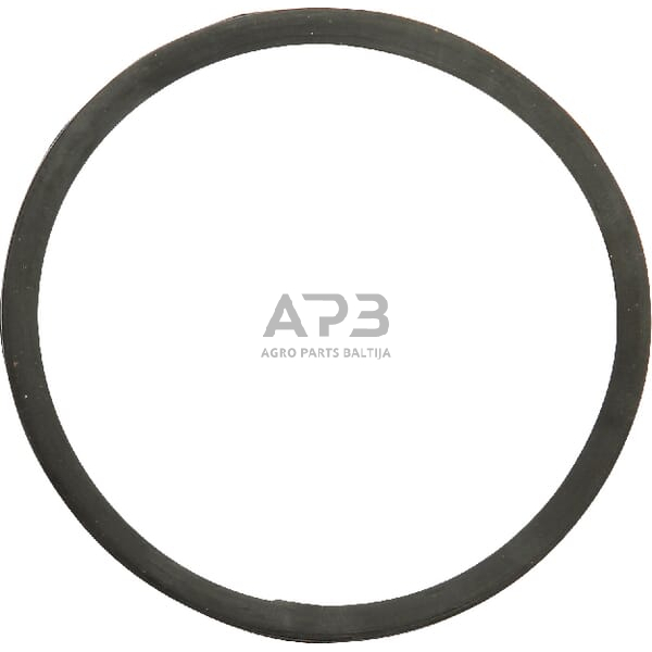 Dalis CNH 130100061002 Termostato tarpiklis