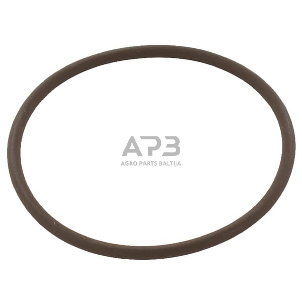 Dalis CNH 14459381 O žiedas