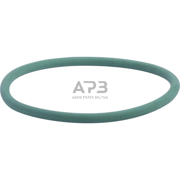 Dalis CNH 17290081 Vandens siurblio sandarinimo žiedas