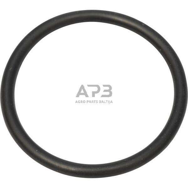 Dalis CNH 218774 Žiedas