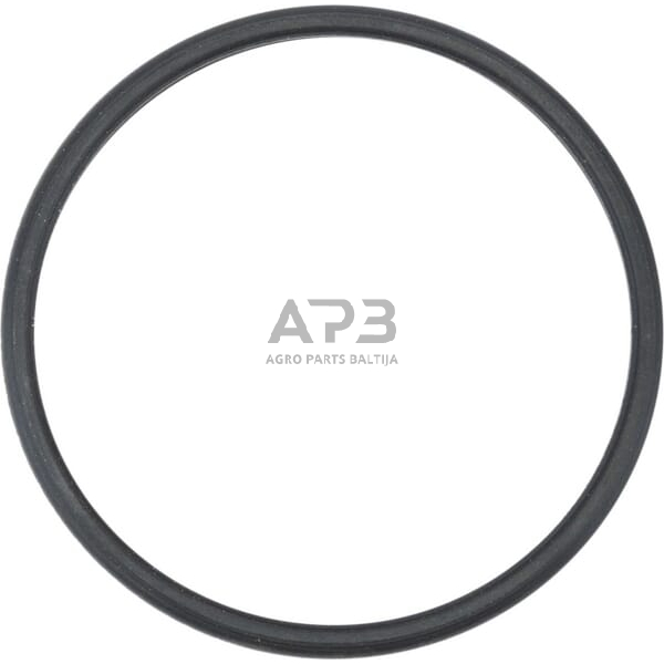 Dalis CNH 504387771 Termostato tarpiklis Dalis CNH 504387771 Termostato tarpiklis