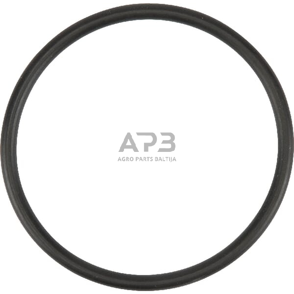 Dalis Fendt technikai F291200610120 Termostato tarpiklis