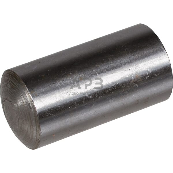 Dalis Fendt technikai X505585617000 Pin M6 x 36