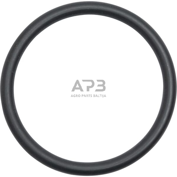 Dalis Landini technikai 1004637M1 Tepalinis sandariklis