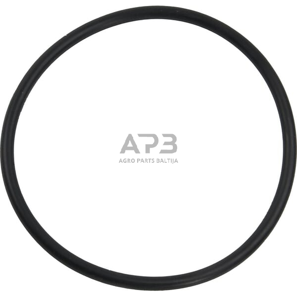 Dalis Landini technikai 1504212M1 Žiedas Dalis Landini technikai 1504212M1 Žiedas