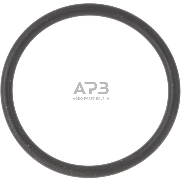 Dalis Landini technikai 3019920X1 žiedas