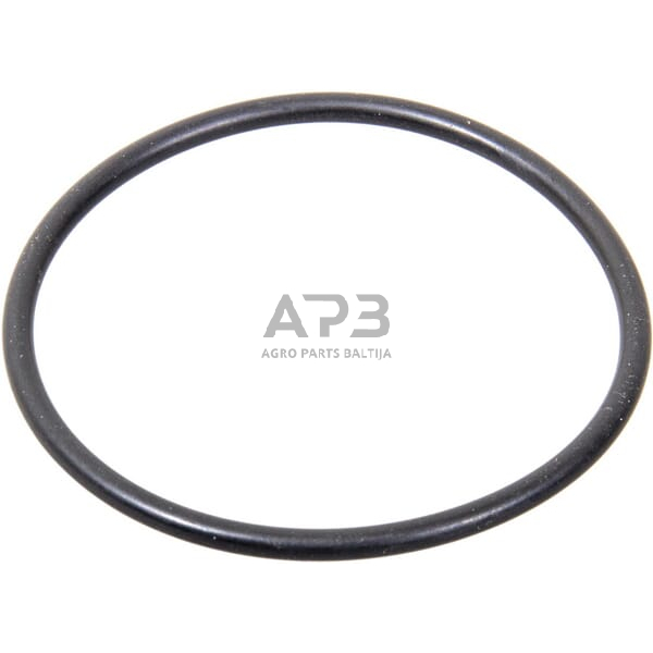 Dalis Landini technikai 3019943X1 žiedas Dalis Landini technikai 3019943X1 žiedas