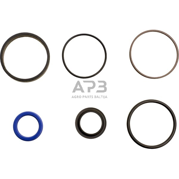 Dalis Massey Ferguson technikai 1609086M91 vairo cilindro remonto komplektas Dalis Massey Ferguson technikai 1609086M91 vairo cilindro remonto komplektas