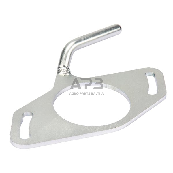 Dalis Scharmüller 106456040 Rankena Dalis Scharmüller 106456040 Rankena