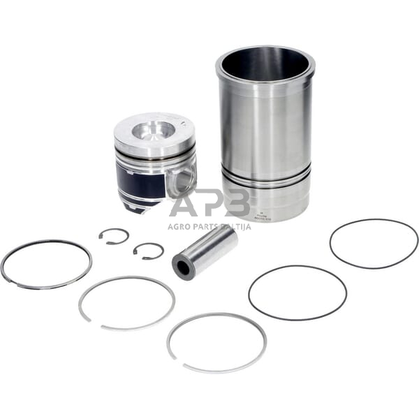 Dalis SDF 00990065A Stūmoklių ir įdėklų komplektas Dalis SDF 00990065A Stūmoklių ir įdėklų komplektas