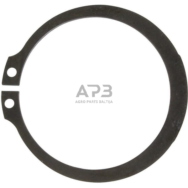 Dalis SDF 1100621 Žiedas SDF 1