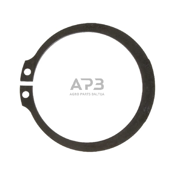 Dalis SDF 1100621 Žiedas SDF