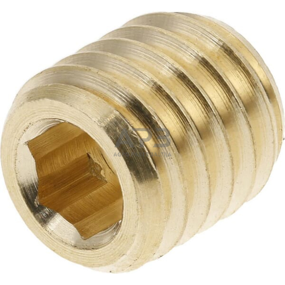 Droselinės sklendės varžtas M8 Ø 2.0mm SSM8820BR Droselinės sklendės varžtas M8 Ø 2.0mm SSM8820BR