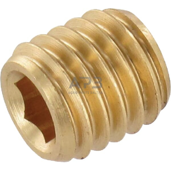 Droselinės sklendės varžtas M8 Ø 2.5mm SSM8825BR Droselinės sklendės varžtas M8 Ø 2.5mm SSM8825BR