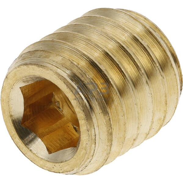 Droselinės sklendės varžtas M10 Ø 2.5mm SSM101225BR Droselinės sklendės varžtas M10 Ø 2.5mm SSM101225BR