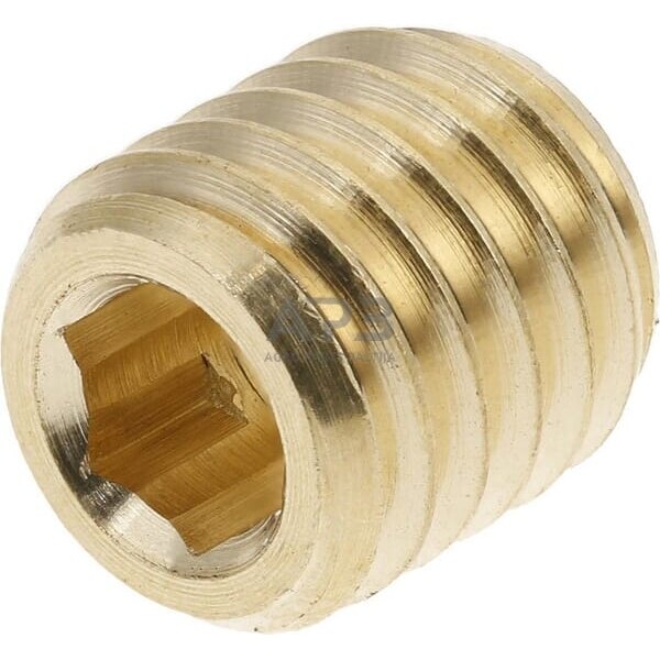 Droselinės sklendės varžtas M8 Ø 2.0mm SSM8820BR