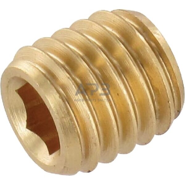 Droselinės sklendės varžtas M8 Ø 2.5mm SSM8825BR Droselinės sklendės varžtas M8 Ø 2.5mm SSM8825BR