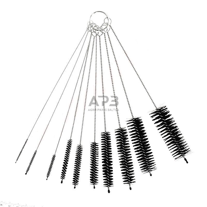 Karbiuratorių valymo rinkinys E10