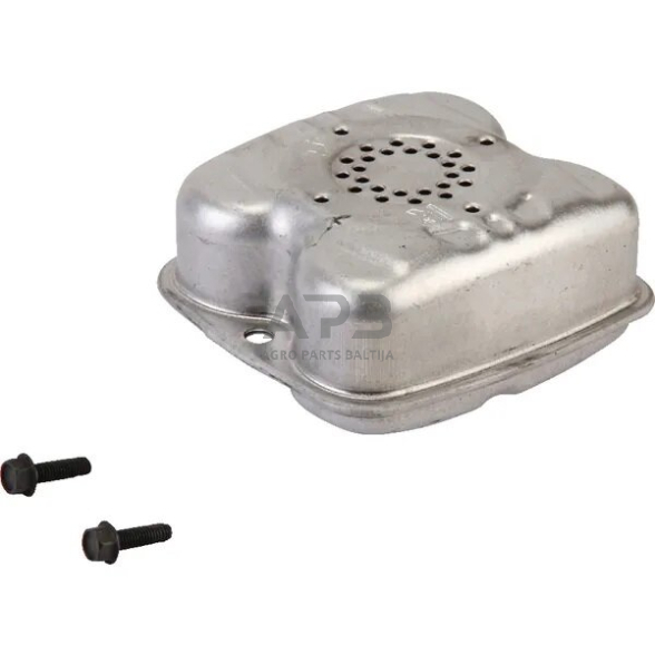 Duslintuvas Briggs & Stratton 590565 1 Duslintuvas Briggs & Stratton 590565 1