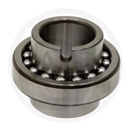 Dvieilis nusistatantis rutulinis guolis FAG 11306 Dvieilis nusistatantis rutulinis guolis FAG 11306