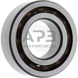 Dvieilis rutulinis guolis su giliais grioveliais FAG 4205 Dvieilis rutulinis guolis su giliais grioveliais FAG 4205