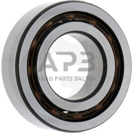 Dvieilis rutulinis guolis su giliais grioveliais FAG 4207 Dvieilis rutulinis guolis su giliais grioveliais FAG 4207