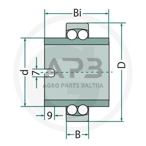 Dvieilis nusistatantis rutulinis guolis FAG 11206