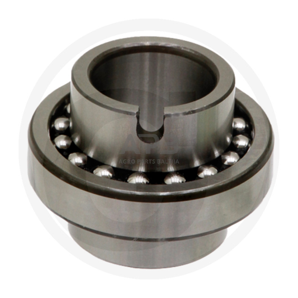 Dvieilis nusistatantis rutulinis guolis FAG 11307 Dvieilis nusistatantis rutulinis guolis FAG 11307