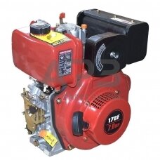 Dyzelinis variklis BS178FD 19mm 3/4''