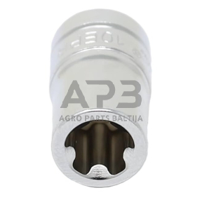Galvutė  1/4" 10EPR (torx plus), TESLA